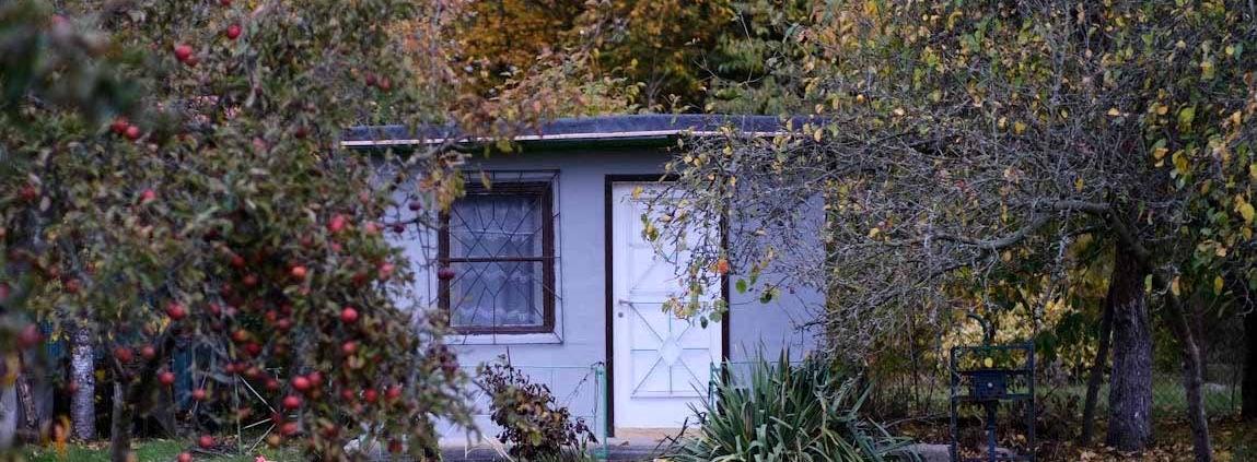 Small detached minor dwelling in a backyard garden on an Auckland residential property