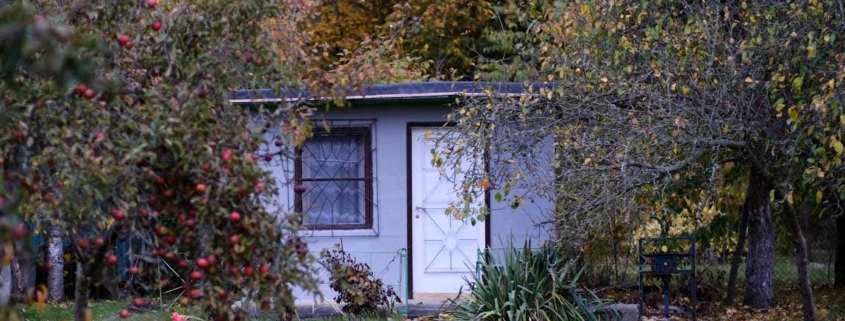 Small detached minor dwelling in a backyard garden on an Auckland residential property