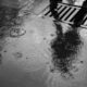 Rainwater pooling around a stormwater drain during heavy rainfall on an Auckland development site