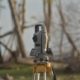 Surveying total station used to check building location, levels and height-to-boundary compliance